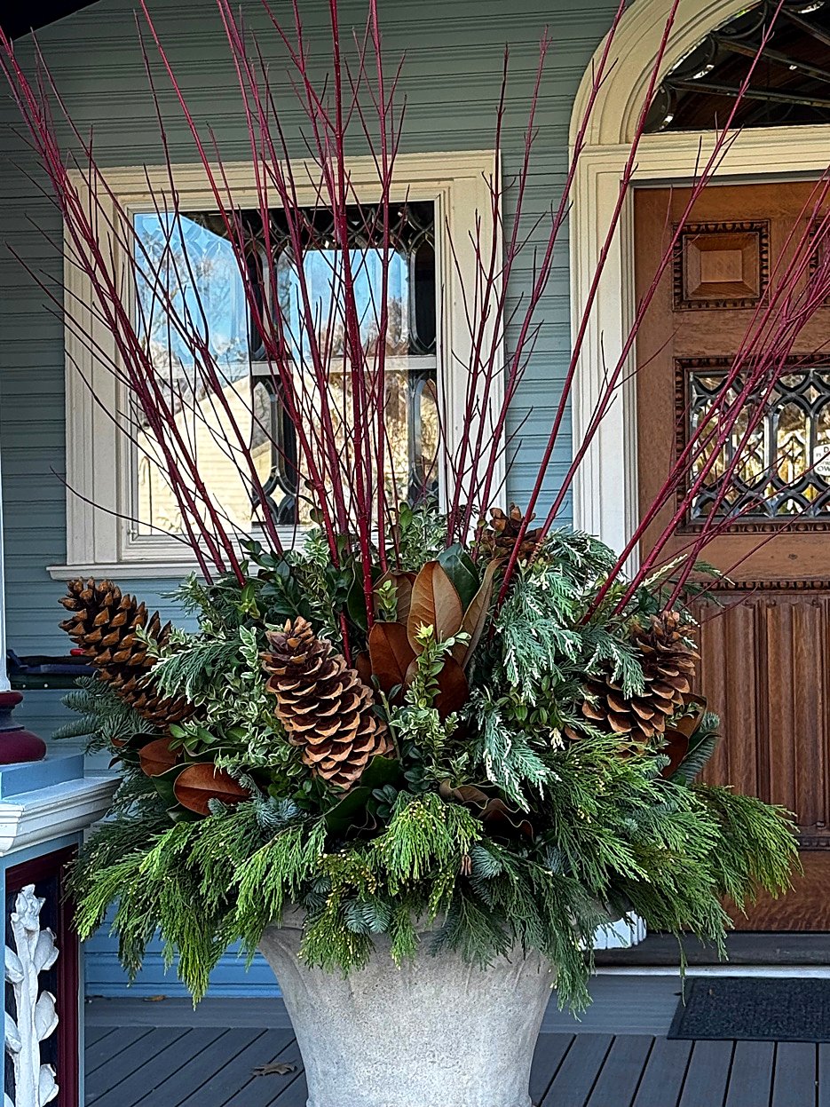 Winter container with evergreen boughs, Red Dogwood, Magnolia, and Pinecones