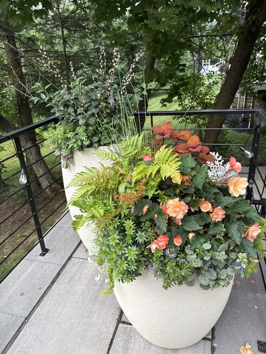 Large urn planters with peach Begonias, Ferns, Heuchera, and Pussy Willow branches on a deck