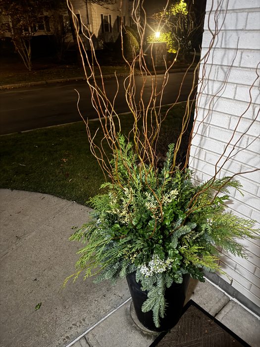 Winter container with curly Willow branches, Boxwood, evergreen greens, and white berries, lit at night