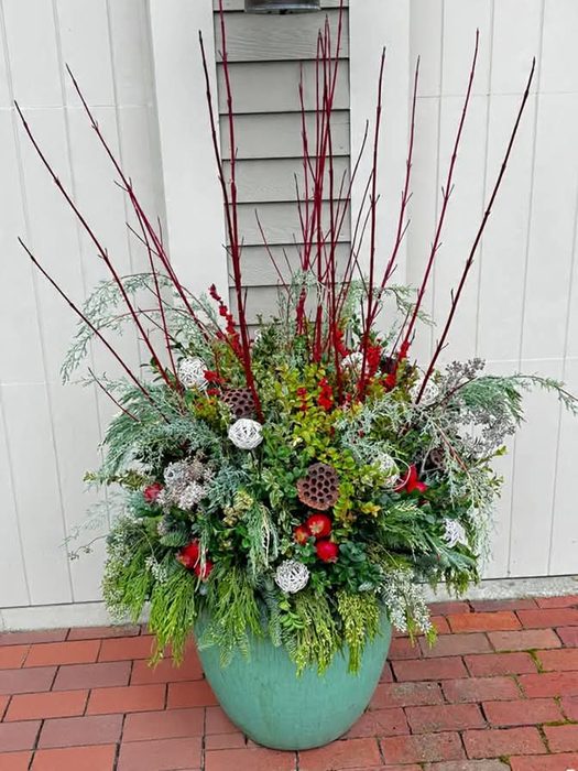 Winter urn with red Dogwood branches, evergreen boughs, lotus pods, silver ornament balls, and faux apples